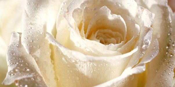 6210 223605470091 164367905091 8174976 5634080 n